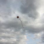 phoca_thumb_m_drak 12 Fotogalerie
